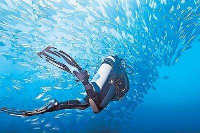 Philippines hailed as best diving destination in Beijing