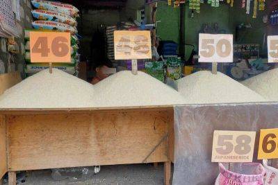 Lower rice prices to be felt in October – DA