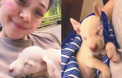 Jodi Sta. Maria adopts puppy Zandro, spotted during shooting