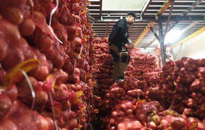 Joint DA, BOC raid on AN ILLEGAL warehouse IN NAVOTAS, yields over 300 tons of smuggled vegetables