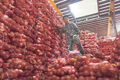 300 tons of smuggled vegetables seized in raid