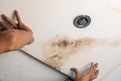 Rainy season mold could be more dangerous than you think. Here’s what you can do.