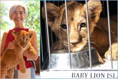 Evelyn Macairan - Honey Lacuña - PETA: Isla should not be imprisoned in Manila Zoo - philstar.com - Philippines - Mali - city Manila, Philippines