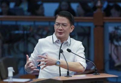 Chiz renews call to set up general aviation terminals