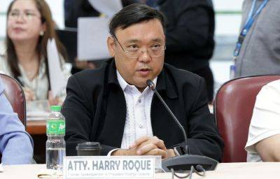 Harry Roque slams House detention as 'harassment'