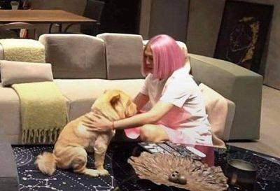 Kathleen A Llemit - Jodi Sta - 'My true friend': Vice Ganda mourns loss of 1st fur baby Chip In - philstar.com - Philippines - city Manila, Philippines