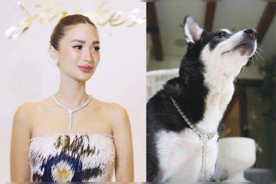 Jan Milo Severo - Pia Wurtzbach - Heart Evangelista denies throwing shade after viral pic of pet Panda wearing multi-million necklace - philstar.com - Philippines - city Manila, Philippines