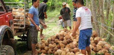 PCA reaffirms commitment to improve lives and livelihood of coco farmers