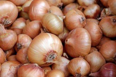 Francisco Tiu Laurel-Junior - Tiu Laurel - Jasper Emmanuel Arcalas - Philippines to import 16,000 MT yellow onions - philstar.com - Philippines - city Manila, Philippines