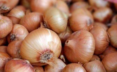 DA chief OKs importation of white onion; total volume 16,000 metric tons until yearend