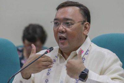 Immigration lookout bulletin issued vs Harry Roque, 11 others