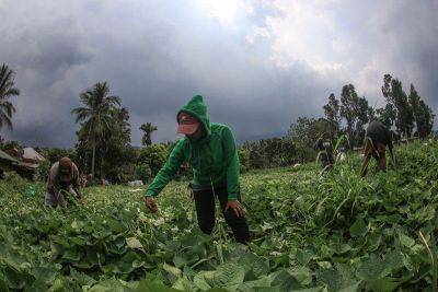 LIVE updates: Kanlaon Volcano restiveness