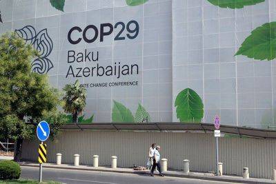 Climate finance: What you need to know ahead of COP29