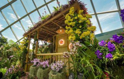 'Bahay Kubo' orchid display opens in Singapore's Gardens by the Bay