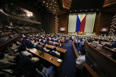 House orders probe into 'Chinese pilots' flying chartered flights in Philippines