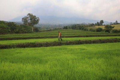 LIVE updates: Kanlaon Volcano restiveness