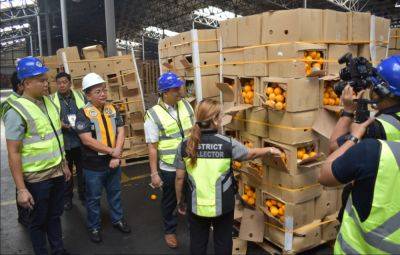 DA, BOC seize 3.200 cartons of smuggled oranges worth PHP8.422 Million