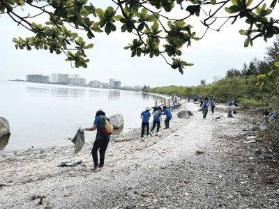 EY GDS employees plant mangroves, sky farms - manilatimes.net - Philippines